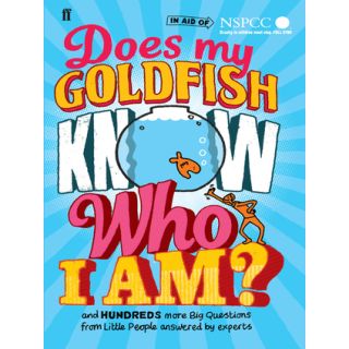 Does My Goldfish Know Who I Am?: Big Questions and Instant Answers