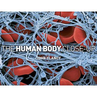 The Human Body Close-Up